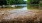 a body of water with rocks and trees around it